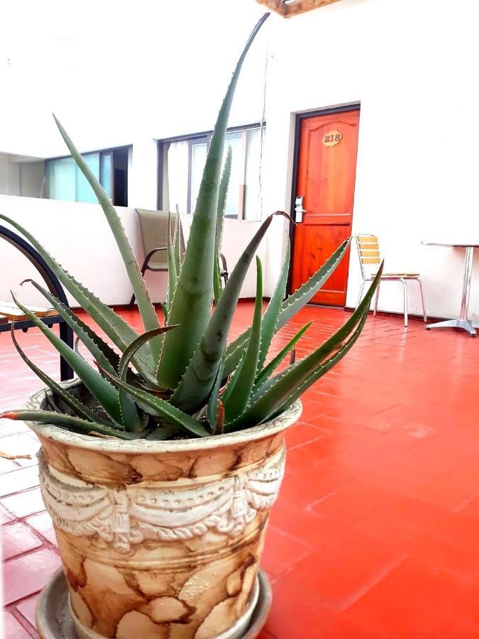 Hotel Las Palmas Arica Luaran gambar